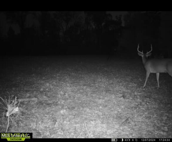 Eden Midway Road Yazoo City, MS 39194 - Photo 43 of 48 19