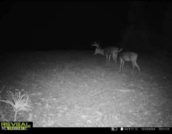 $569,500 | Eden Midway Road, Yazoo City, MS 39194