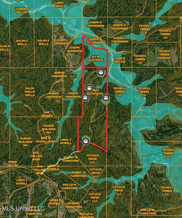 Eden Midway Road Yazoo City, MS 39194 - Photo 47 of 48 yazoo 170 contour-floodplain
