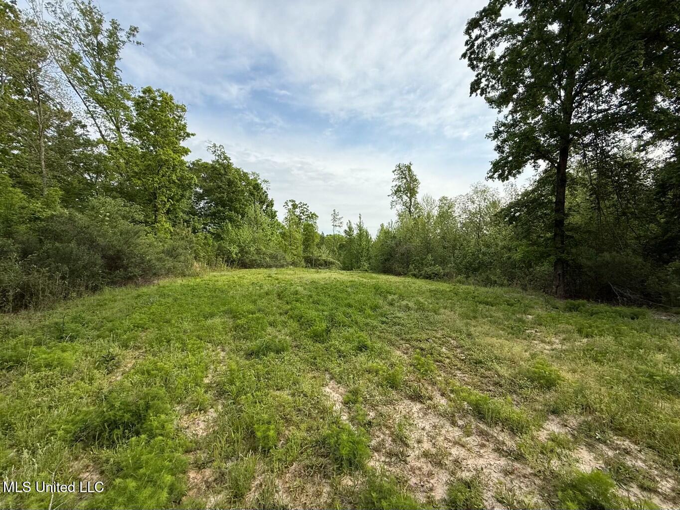 Eden Midway Road Yazoo City, MS 39194 - Photo 6 of 48 tempImage2j5hC3