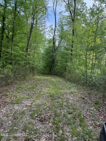 $569,500 | Eden Midway Road, Yazoo City, MS 39194