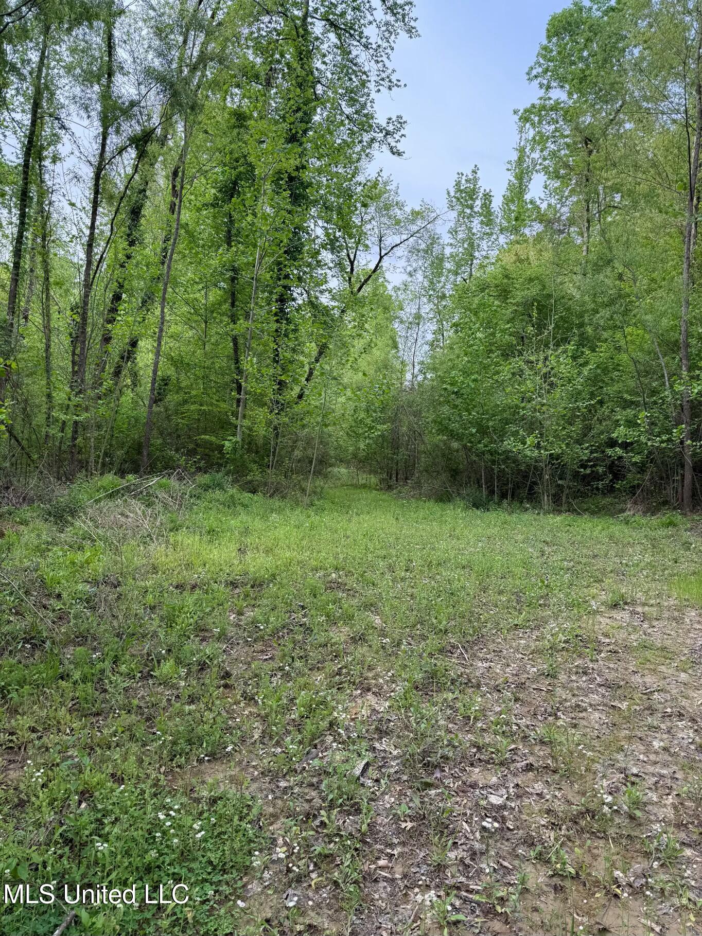 Eden Midway Road Yazoo City, MS 39194 - Photo 8 of 48 tempImagepHk56M