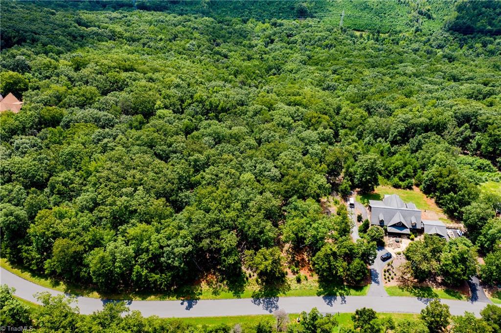 654 Sierra Trace Road Denton, NC 27239 - Photo 20 of 22 Gallery Image 20