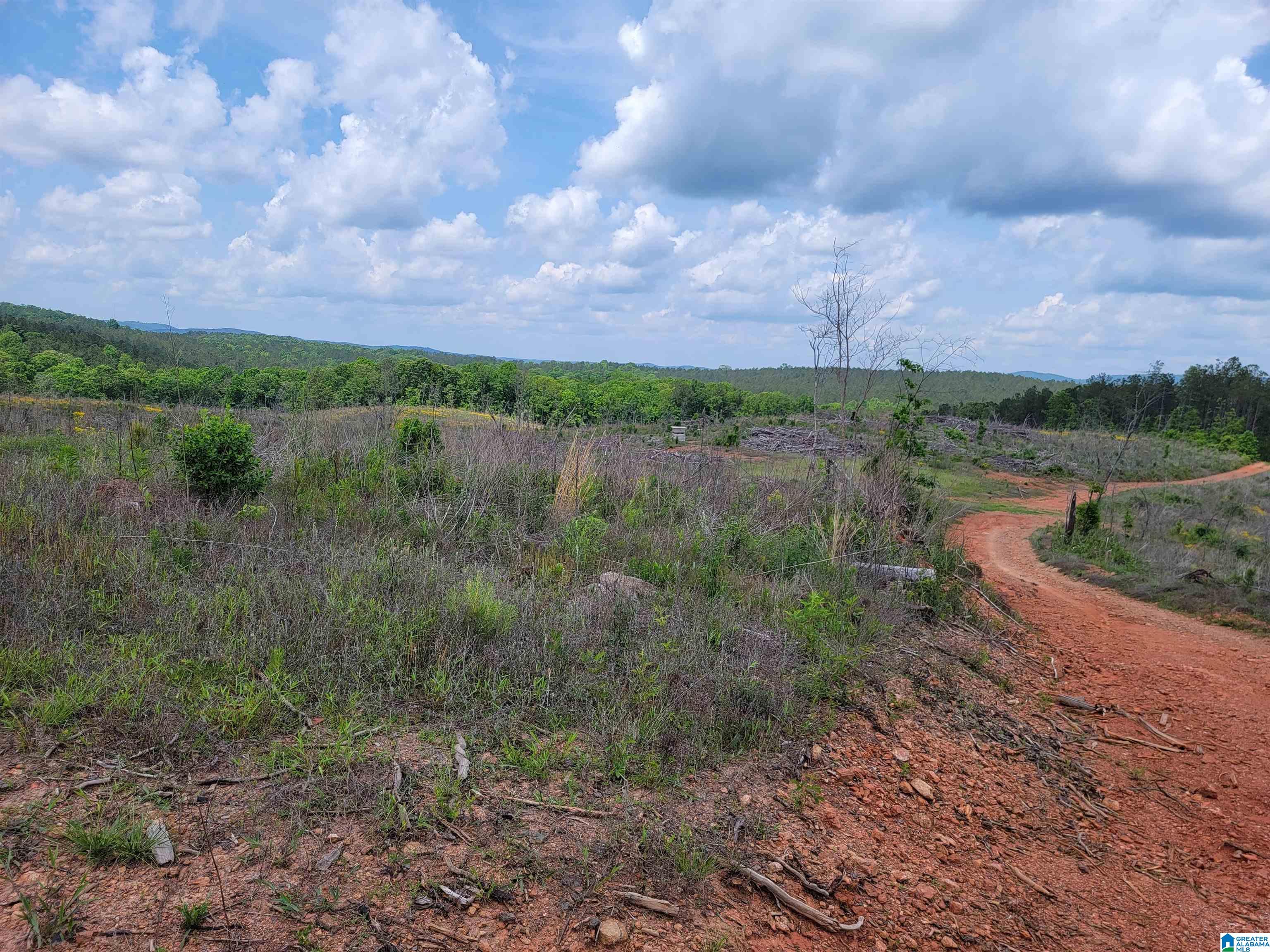 0 Chapman Road, Unit 152 Goodwater, AL 35072 - Photo 14 of 40