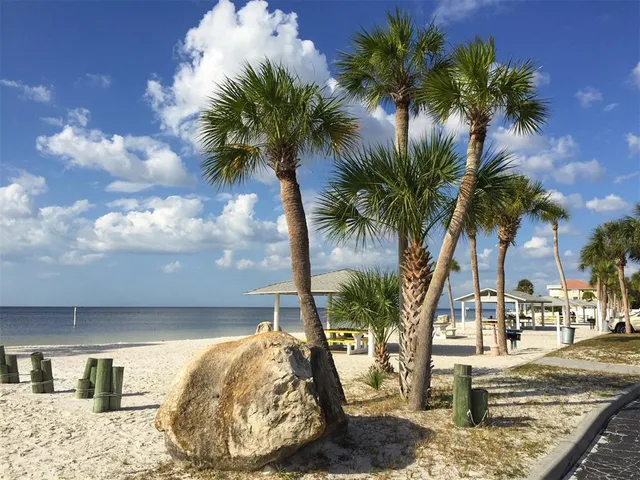 a view of a yard with a fountain