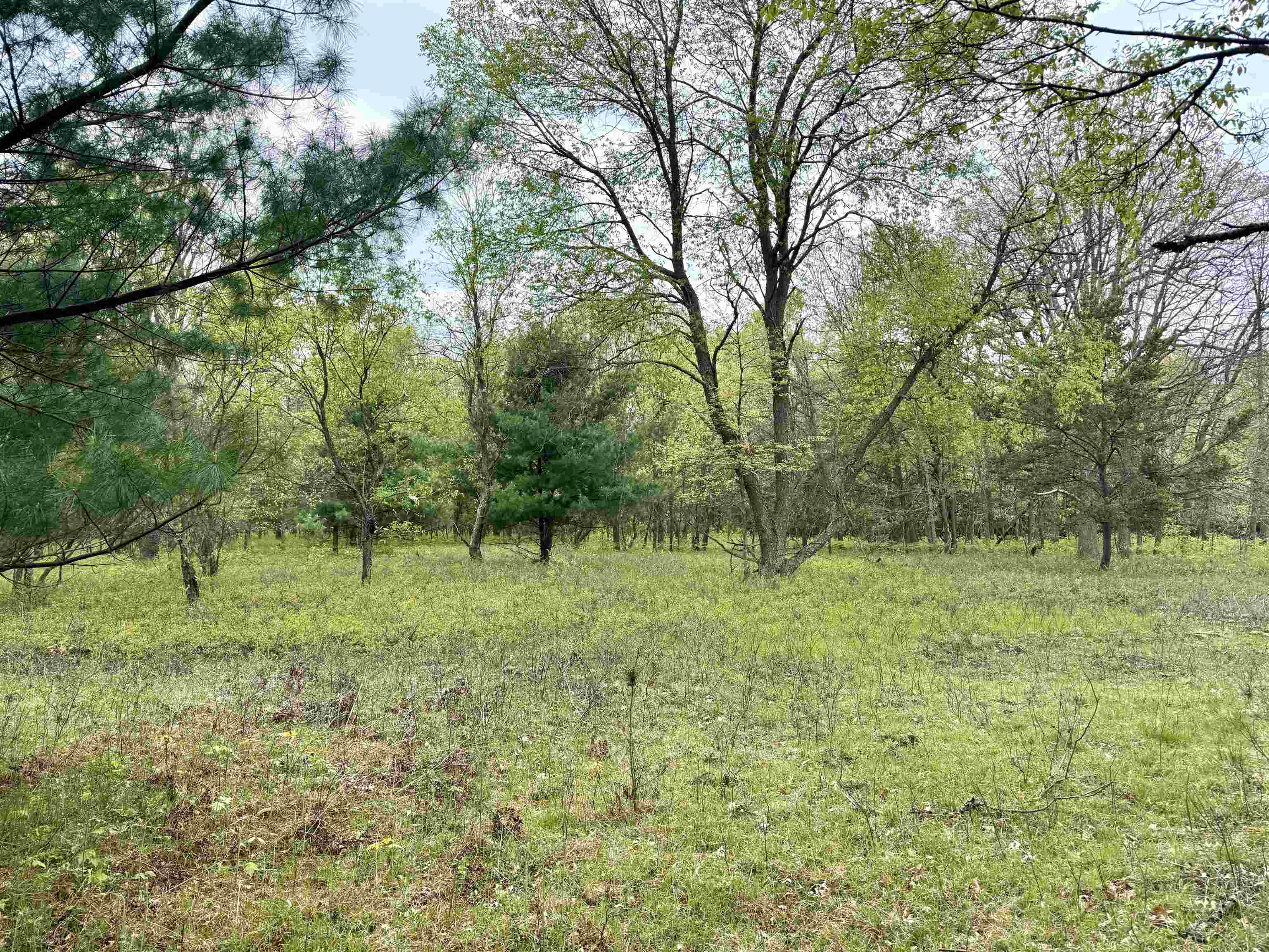 Parcel D West Rosted Road Lake City, MI 49651 - Photo 1 of 18
