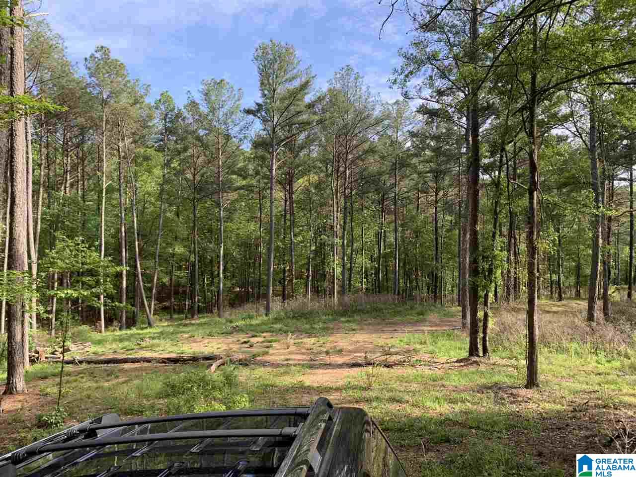 1585 Rex Lake Road, Unit 1585 Leeds, AL 35094 - Photo 9 of 16