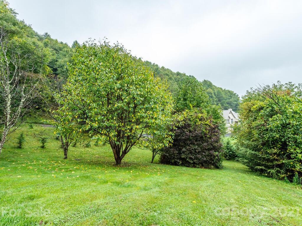595 Hunters Ridge Road, Unit 20 Canton, NC 28716 - Photo 37 of 47 a view of a big yard with plants and large trees
