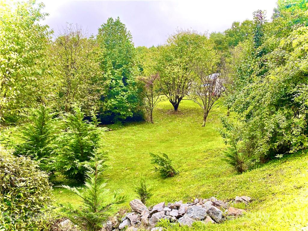 595 Hunters Ridge Road, Unit 20 Canton, NC 28716 - Photo 38 of 47 a view of yard with swimming pool and green space