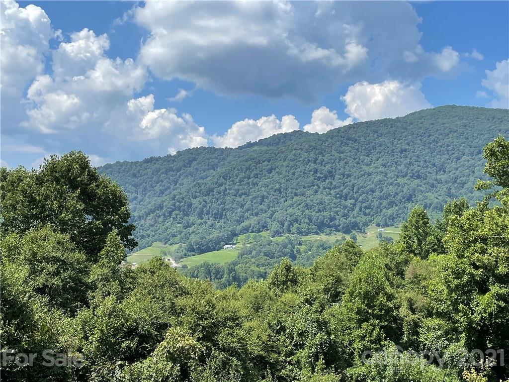 595 Hunters Ridge Road, Unit 20 Canton, NC 28716 - Photo 46 of 47 a view of a bunch of trees
