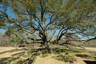 56 Kaiser Lake Road Natchez, MS 39120 - Photo 27 of 29 DSC_8016