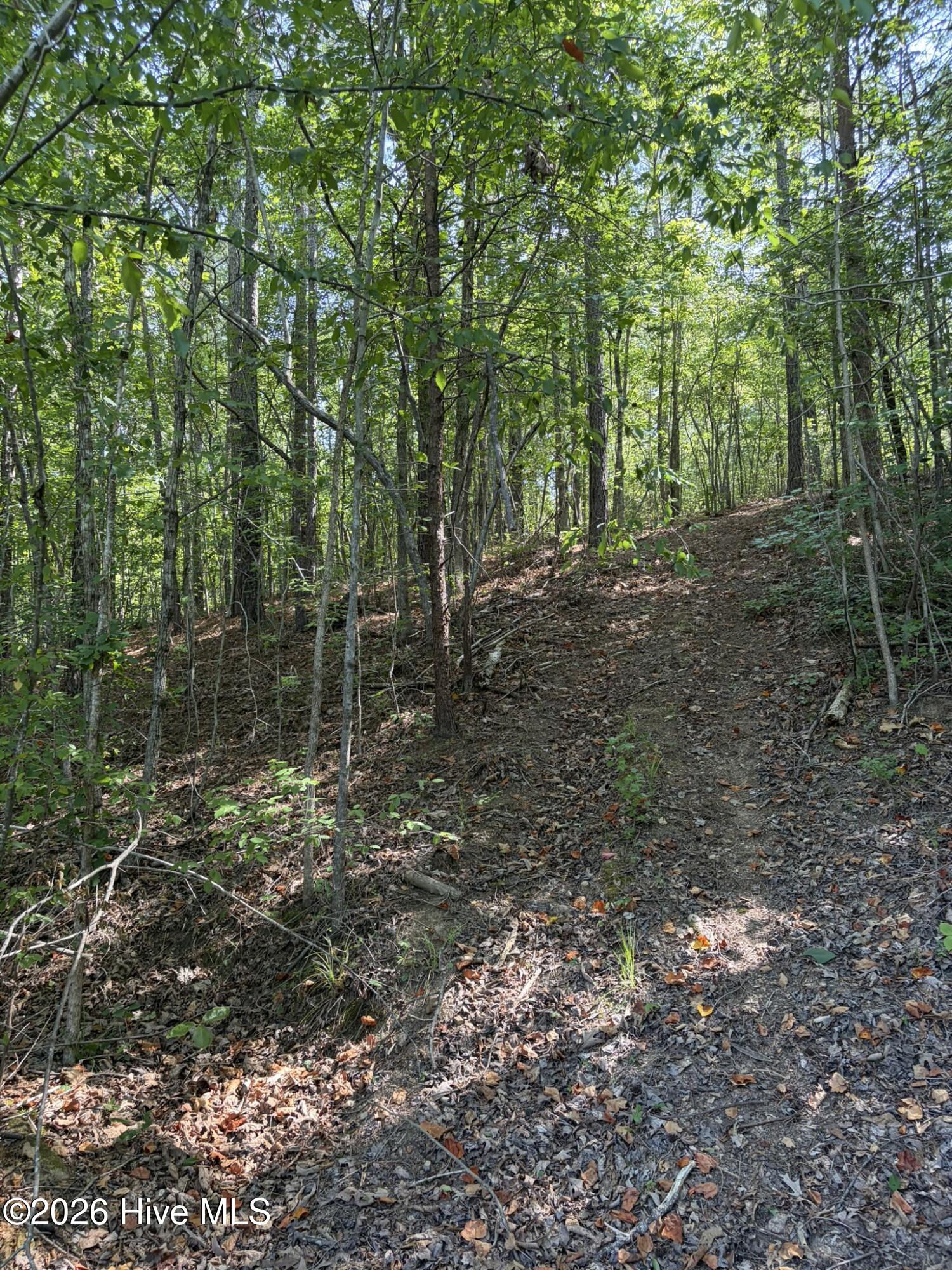 Tbd Green Road Ellerbe, NC 28338 - Photo 23 of 23