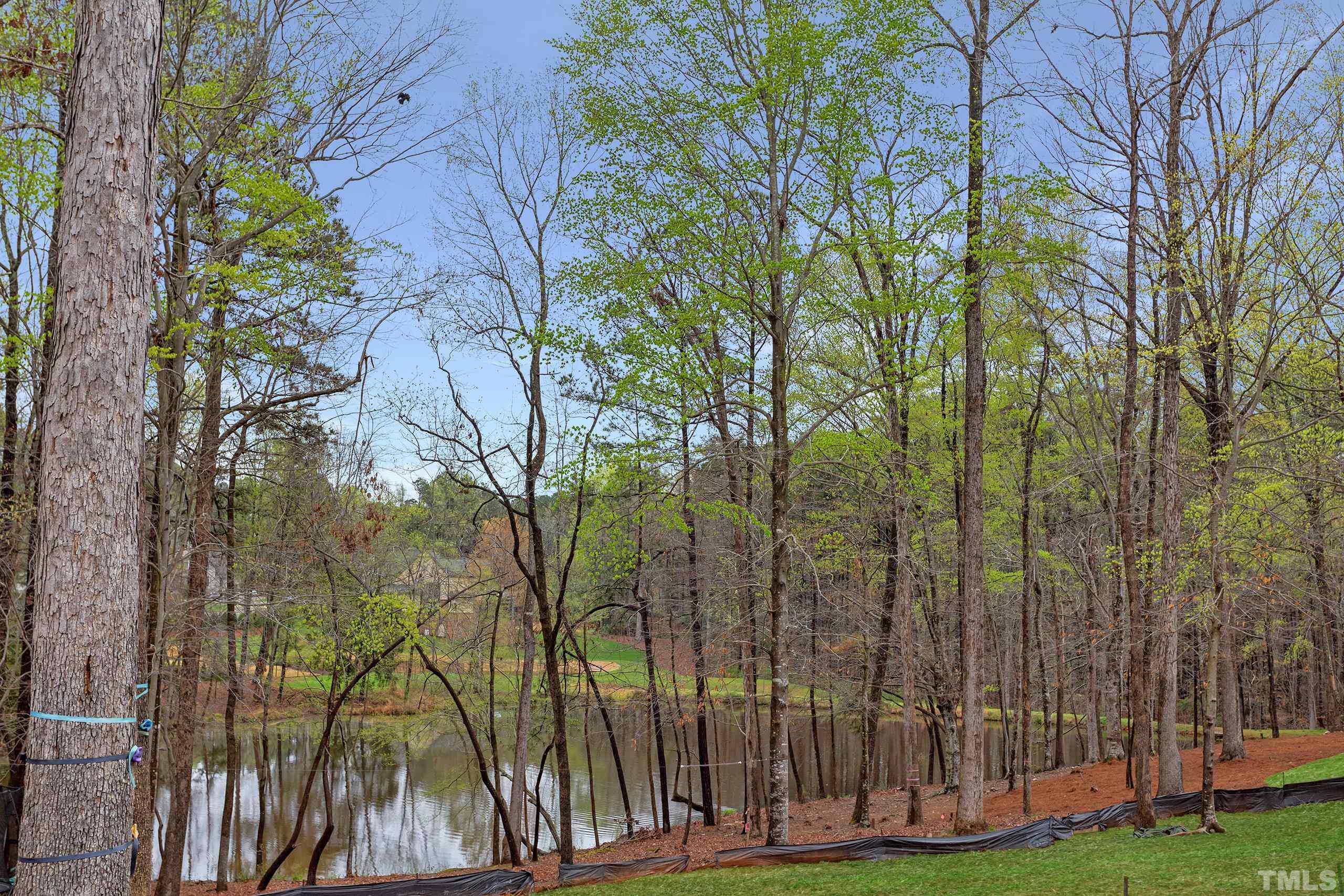 5112 Winding View Lane Raleigh, NC 27615 - Photo 69 of 71 a view of a yard with plants and trees