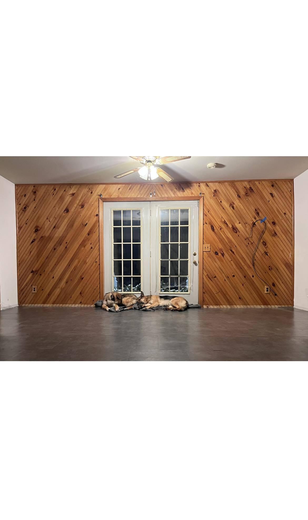 419 Libby Road Caswell, ME 04750 - Photo 11 of 15 419773285_886419846294573_81793845747598