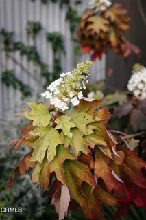 $2,250,000 | 1500 Oxley Street, South Pasadena, CA 91030