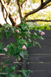 $2,250,000 | 1500 Oxley Street, South Pasadena, CA 91030