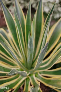 $2,250,000 | 1500 Oxley Street, South Pasadena, CA 91030