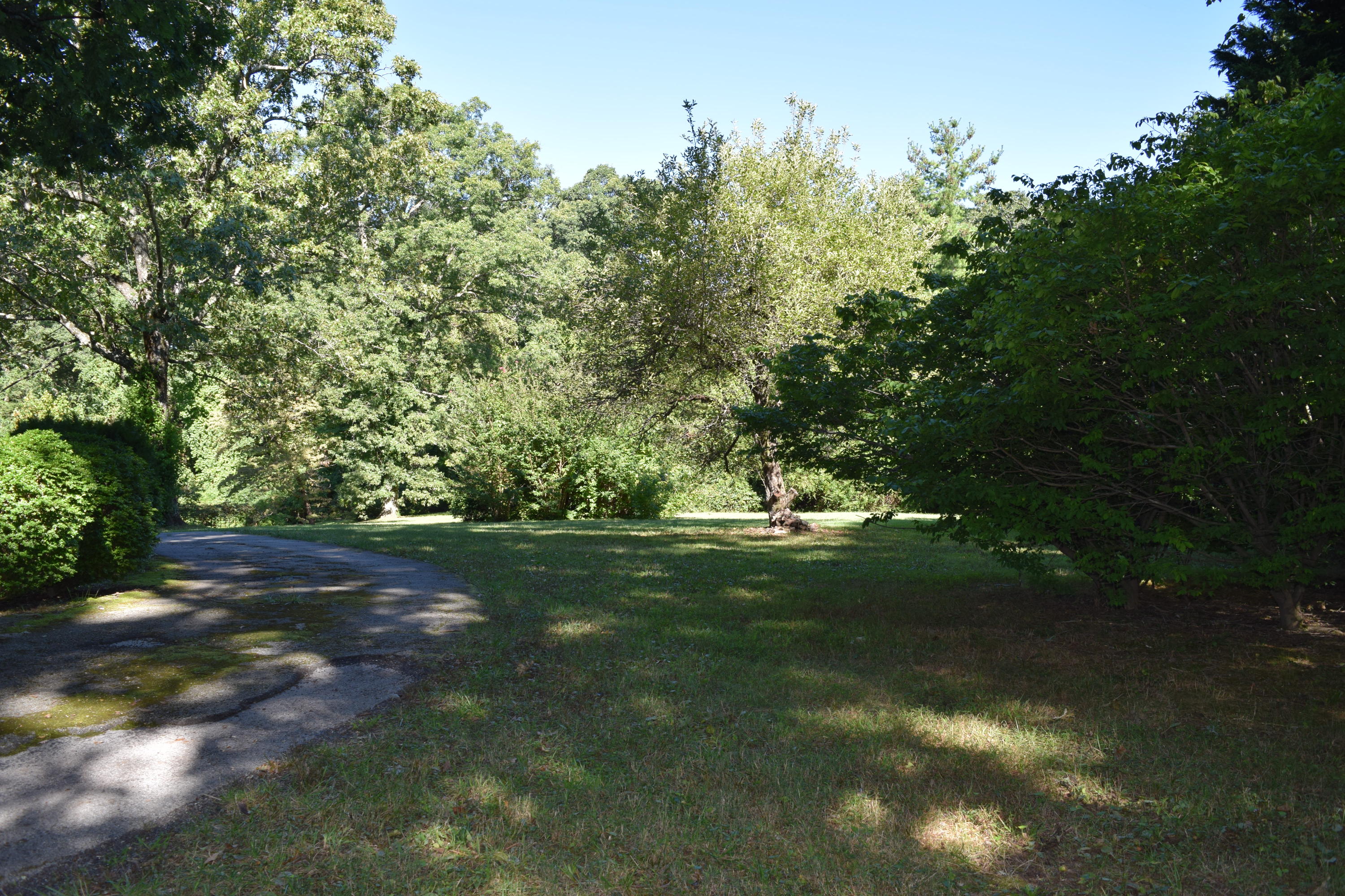 1709 East Brow Road Signal Mountain, TN 37377 - Photo 6 of 39 DSC_0007