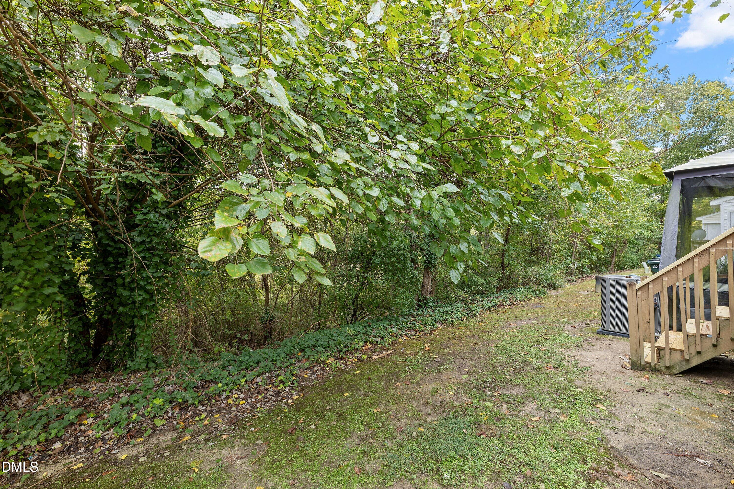 2241 Violet Bluff Court Raleigh, NC 27610 - Photo 27 of 28 a view of a house with a tree