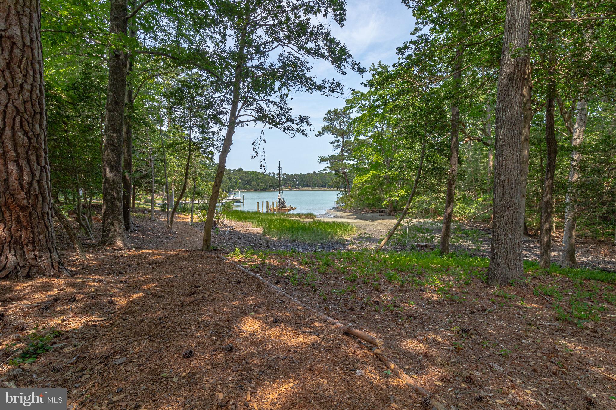 57 Waterman's Way Reedville, VA 22539 - Photo 41 of 43 Peaceful walkway path to pier