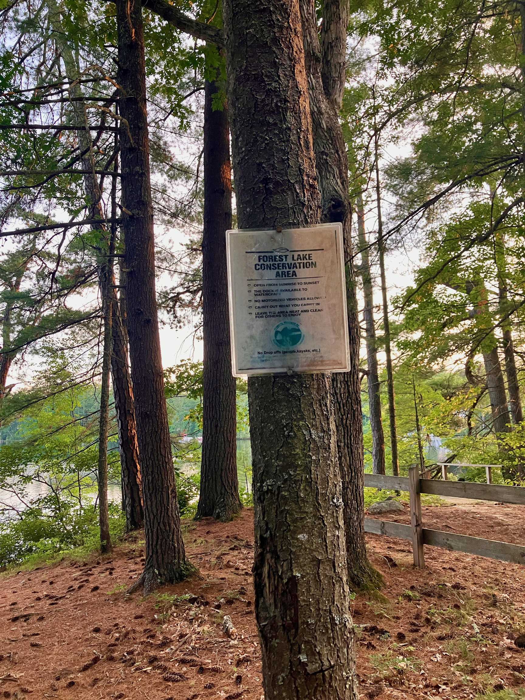 45 Forest Lake Circle Winchester, NH 03470 - Photo 18 of 19