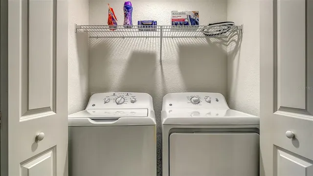 a front view of house with a garden