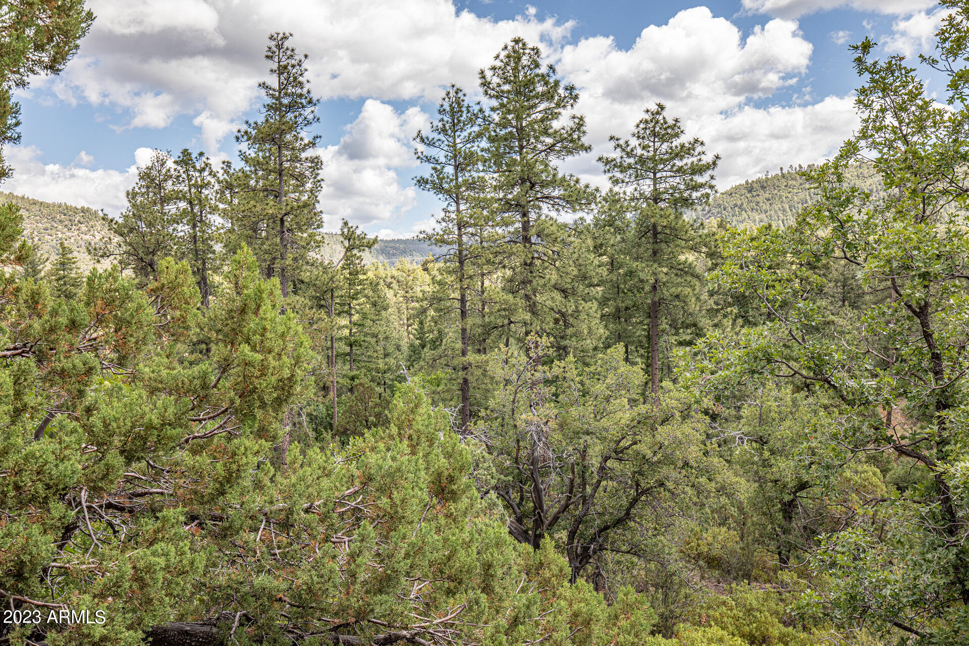 7816 Ralls Drive Pine, AZ 85544 - Photo 36 of 42 0D0A6944 copy.jpgps