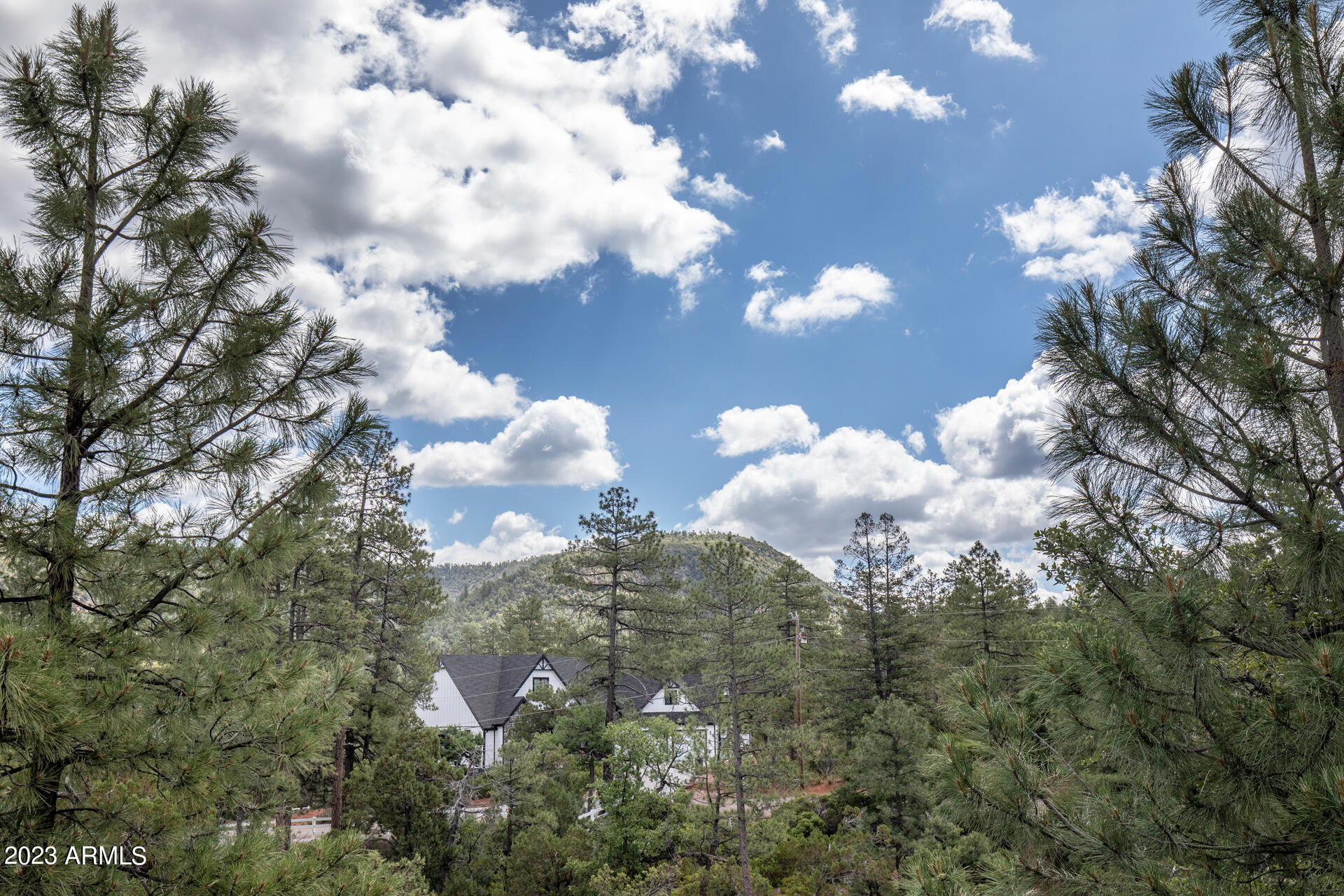 7816 Ralls Drive Pine, AZ 85544 - Photo 37 of 42 0D0A6947 copy.jpgps