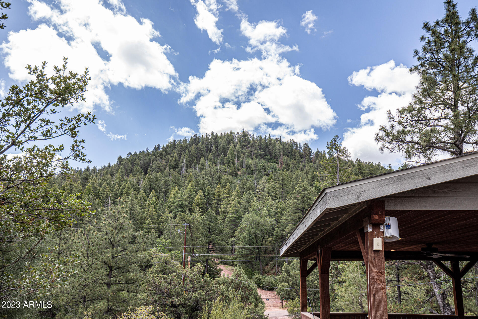 7816 Ralls Drive Pine, AZ 85544 - Photo 38 of 42 0D0A6958 copy.jpgps