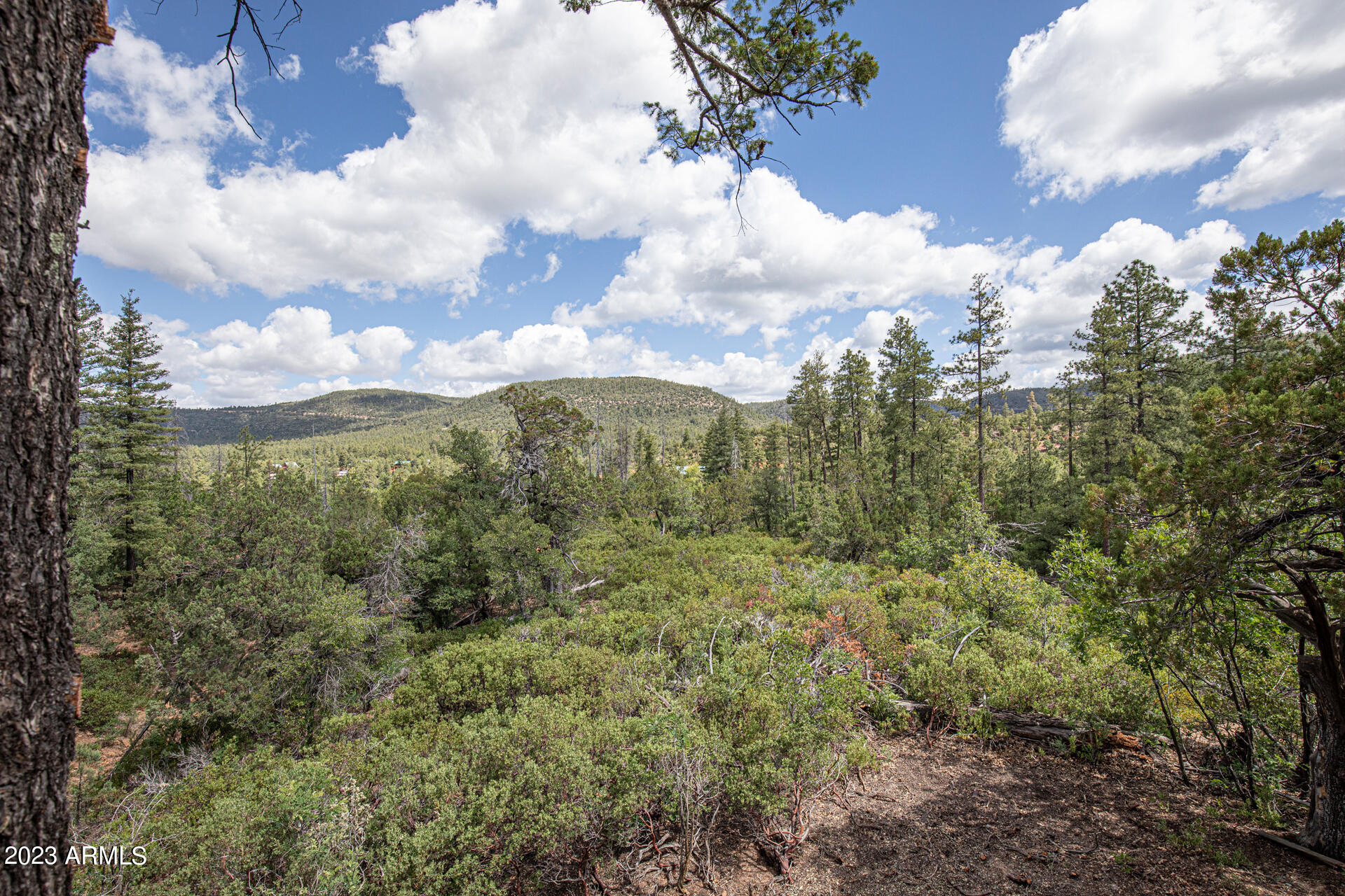 7816 Ralls Drive Pine, AZ 85544 - Photo 4 of 42 0D0A6937 copy.jpgps