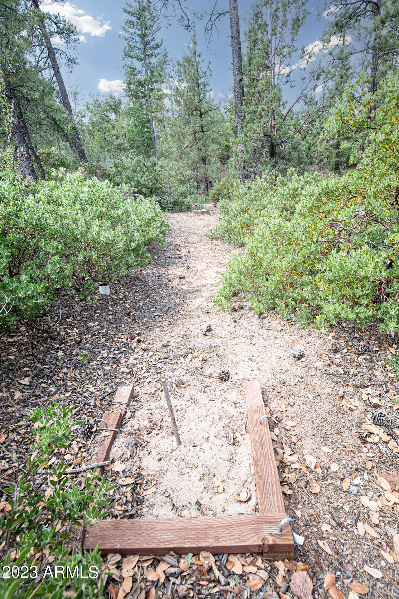 7816 Ralls Drive Pine, AZ 85544 - Photo 41 of 42 0D0A7031 copy.jpgps