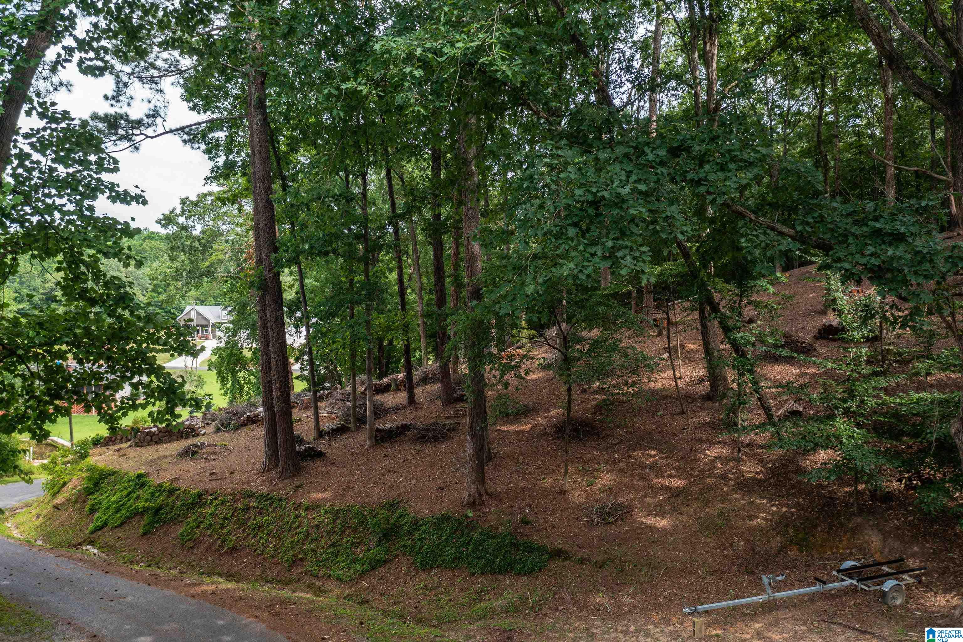 58 East Sunset Boulevard Oneonta, AL 35121 - Photo 15 of 40