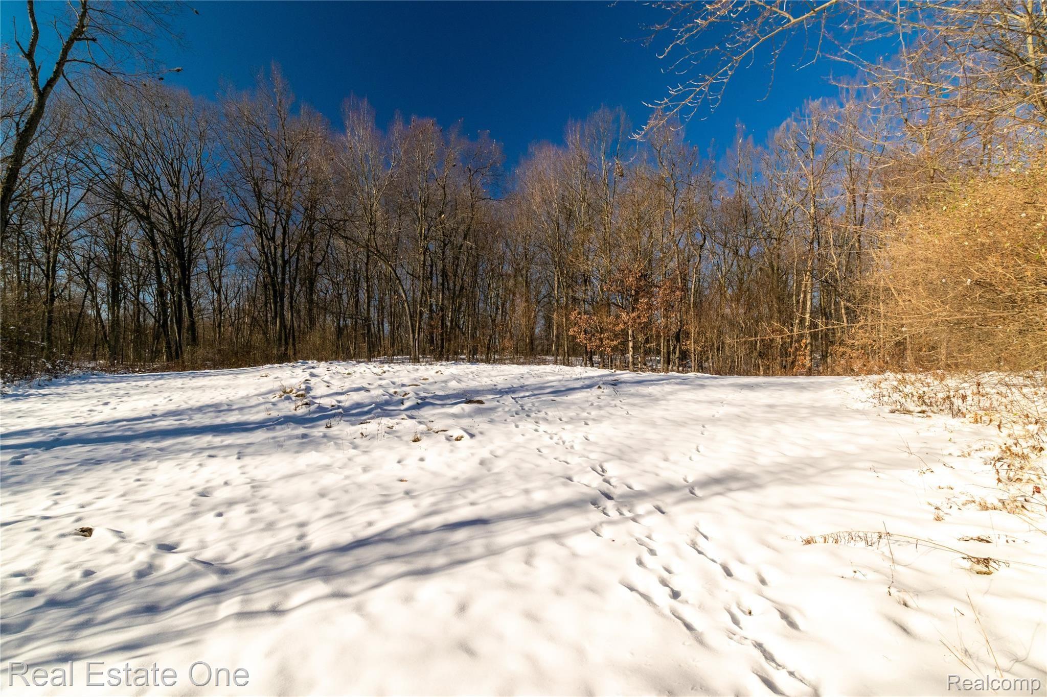 2780 North Lake George Road Metamora, MI 48455 - Photo 14 of 49 2780NLakeGeorgeRd-14.jpg