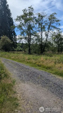 a view of outdoor space with trees