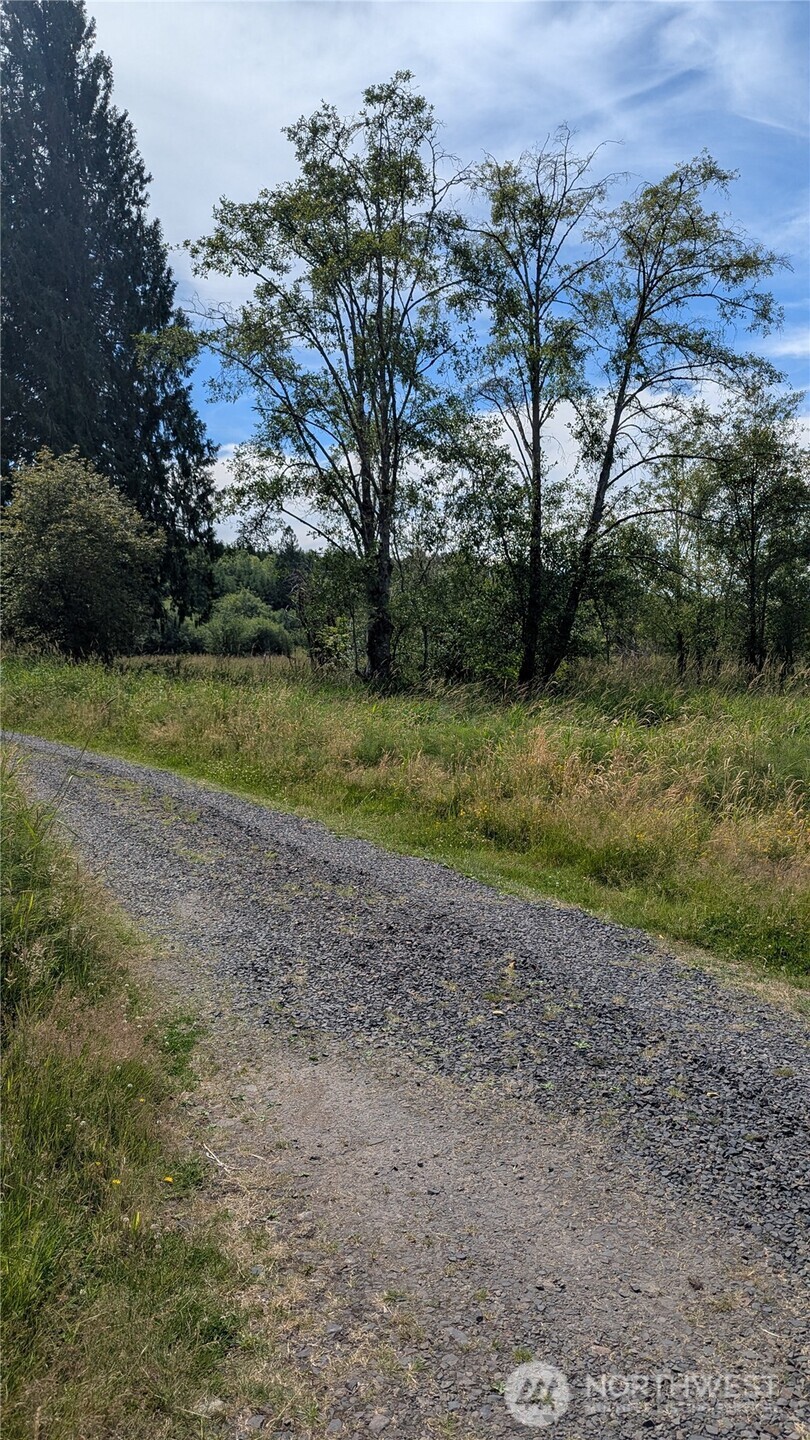 196 Jensen Road Onalaska, WA 98570 - Photo 1 of 9 Gallery Image 1