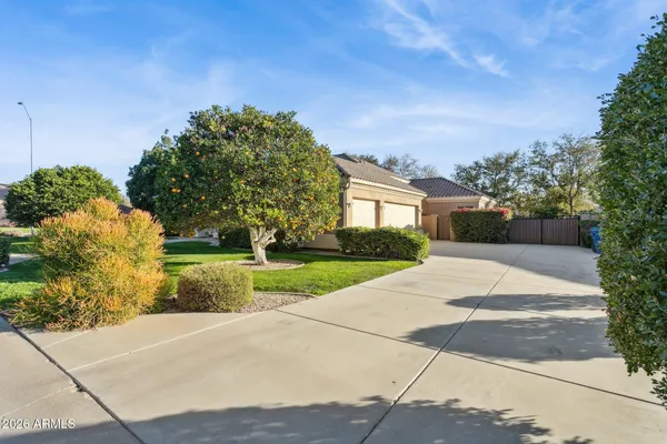 a view of backyard of house and green space
