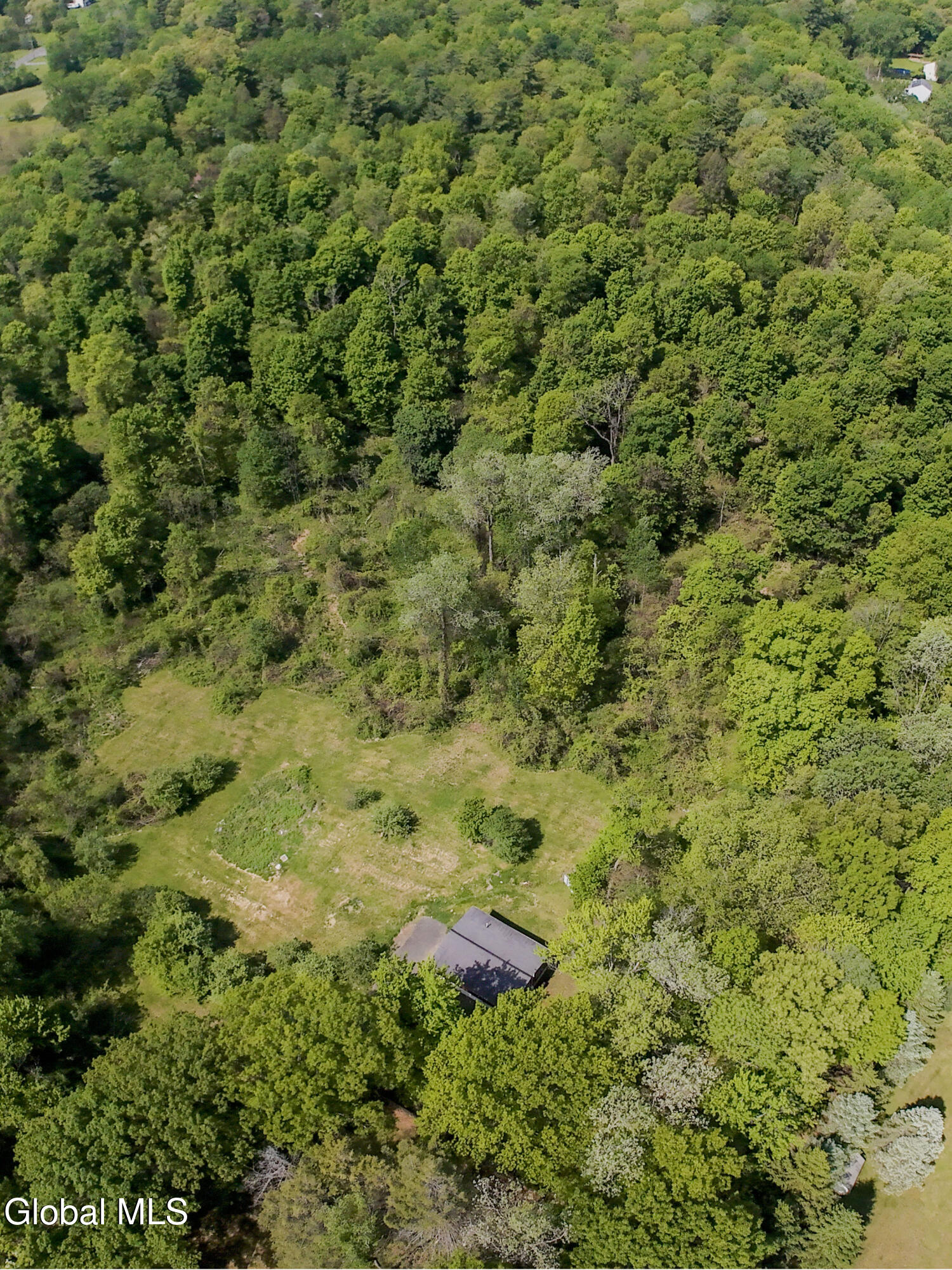 1631 South Old Post Road Schodack, NY 12033 - Photo 26 of 27 RDP 1631 S Old Post Rd - Morgan (4)