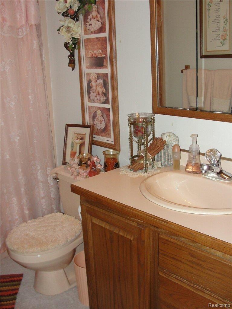 8080 Church Road Imlay City, MI 48444 - Photo 6 of 21 bath