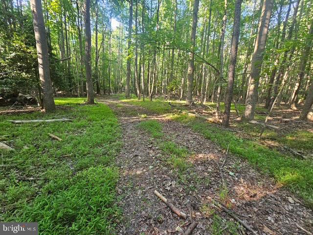 Lot 1 Benson Road Lincoln, DE 19960 - Photo 16 of 17 road to food plot