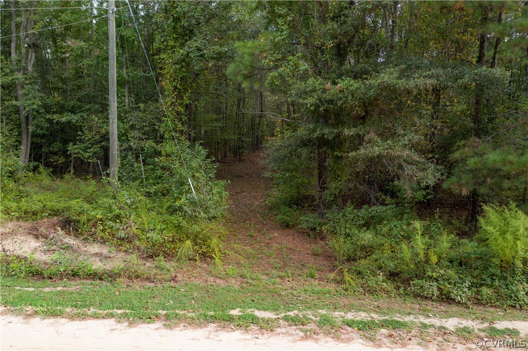 0 Long Reach Road Providence Forge, VA 23140 - Photo 17 of 19 Gallery Image 17