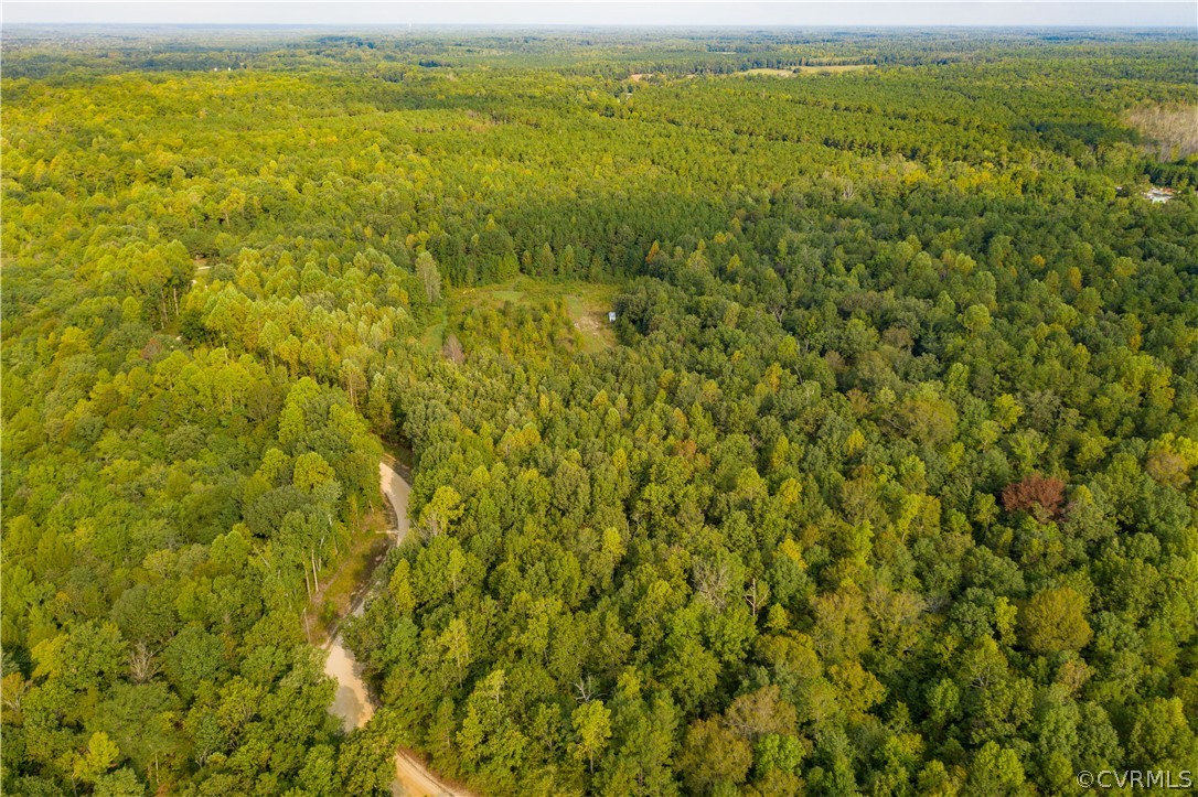 0 Long Reach Road Providence Forge, VA 23140 - Photo 10 of 19 Gallery Image 10