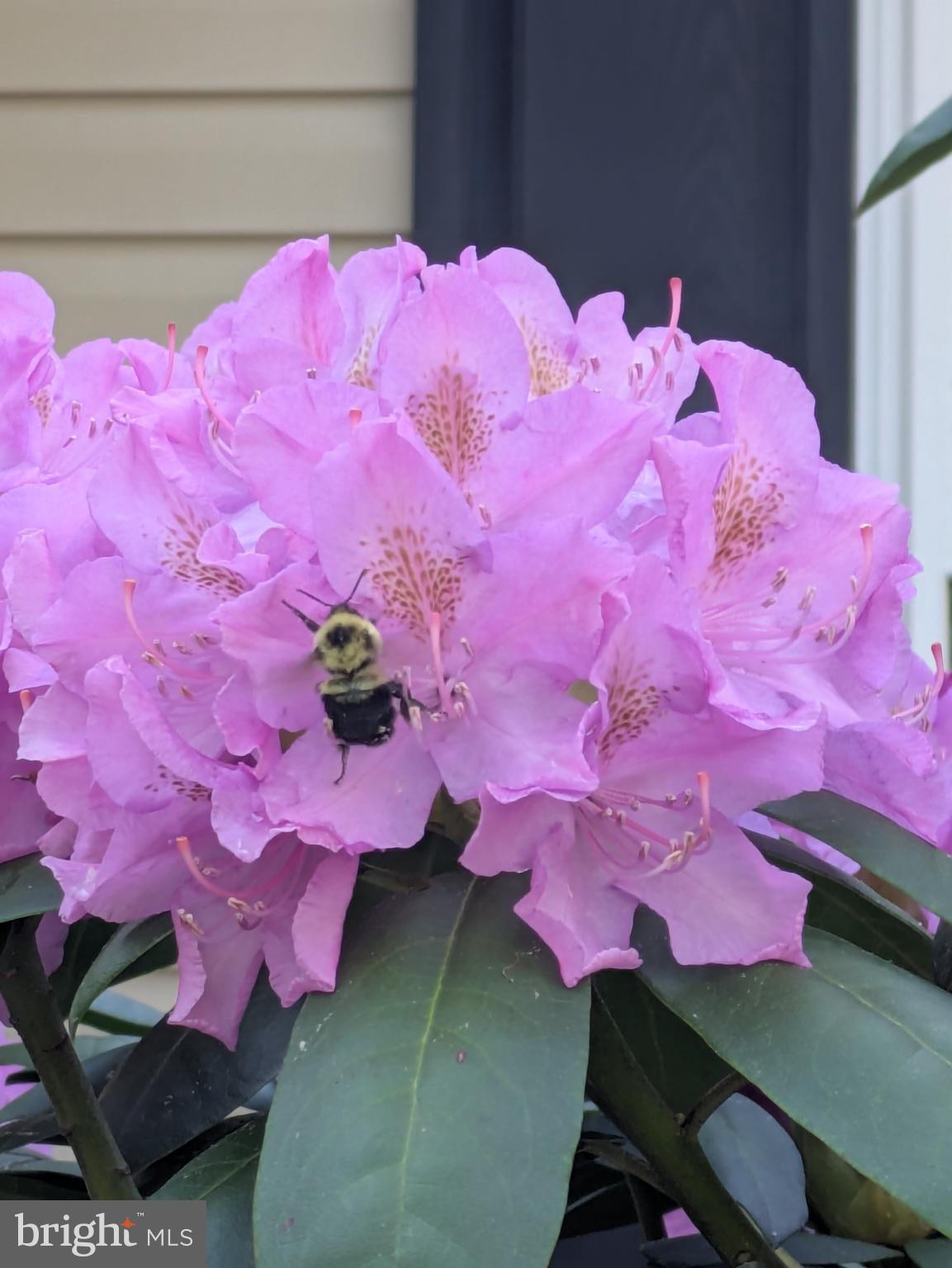 210 Saylers Creek Road Locust Grove, VA 22508 - Photo 3 of 46