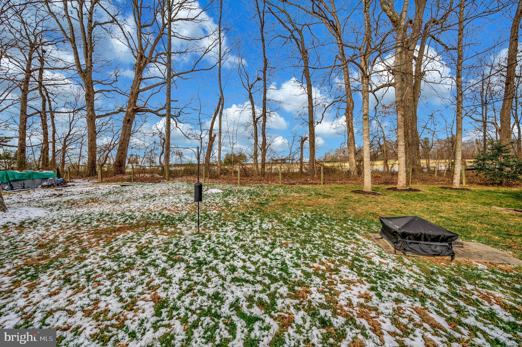 210 Saylers Creek Road Locust Grove, VA 22508 - Photo 33 of 46 Level yard with room for kids and pets to play