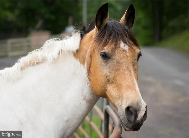 $425,000 | 210 Saylers Creek Road, Locust Grove, VA 22508