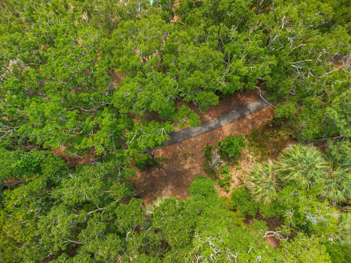 3322 Myrtle Street Edisto Island, SC 29438 - Photo 26 of 26