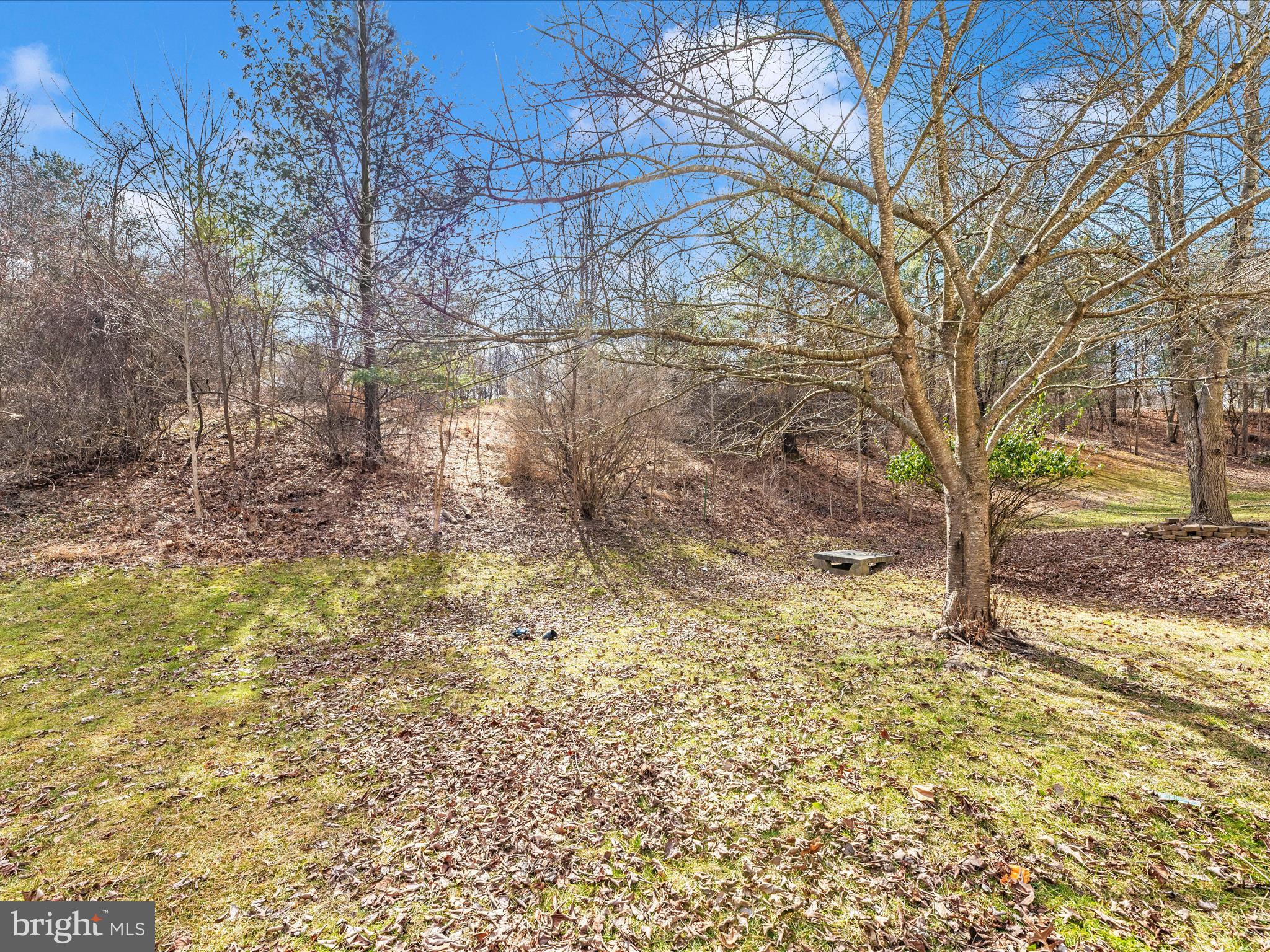 10811 Wadsworth Road Woodstock, MD 21163 - Photo 45 of 66 a view of a yard with a tree