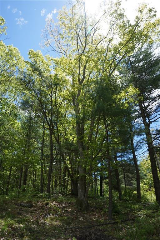 Lot 15 Main Road Phippsburg, ME 04562 - Photo 7 of 12 Photo