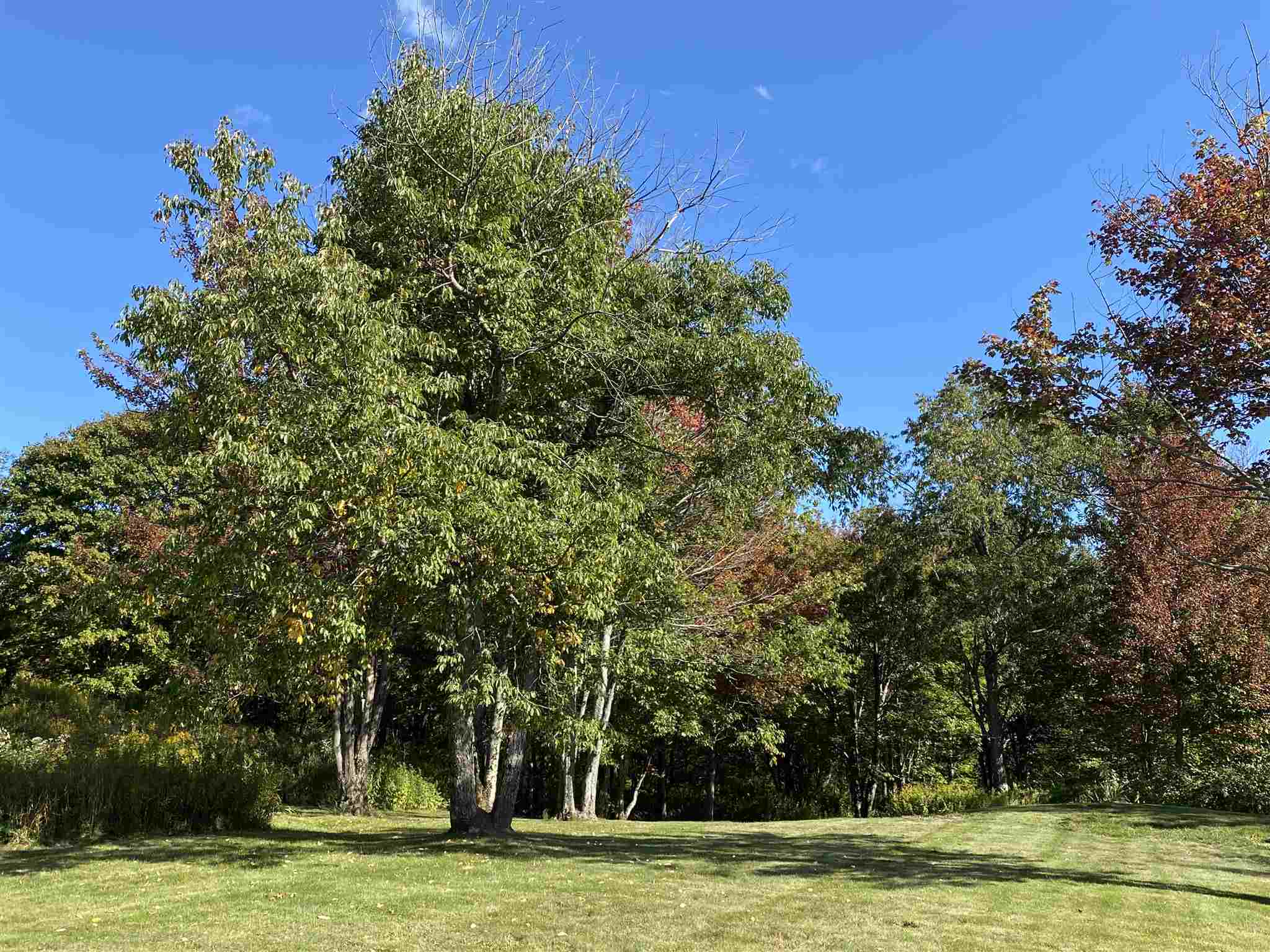 405 Whites Road Wilmington, VT 05363 - Photo 6 of 22 Gallery Image 6