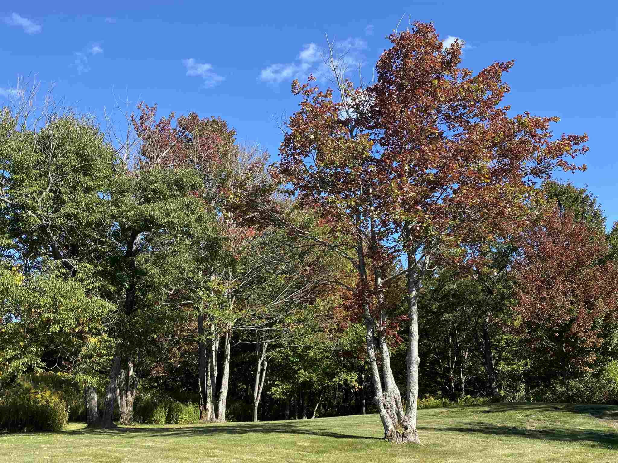 405 Whites Road Wilmington, VT 05363 - Photo 7 of 22 Gallery Image 7