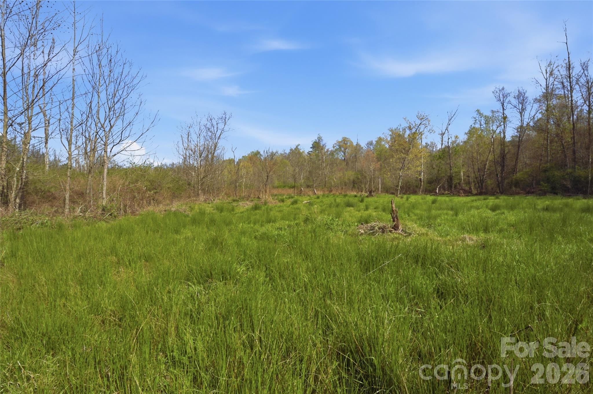 0 Alf Hoover Road Lincolnton, NC 28092 - Photo 7 of 13 a view of a lush green space with sea